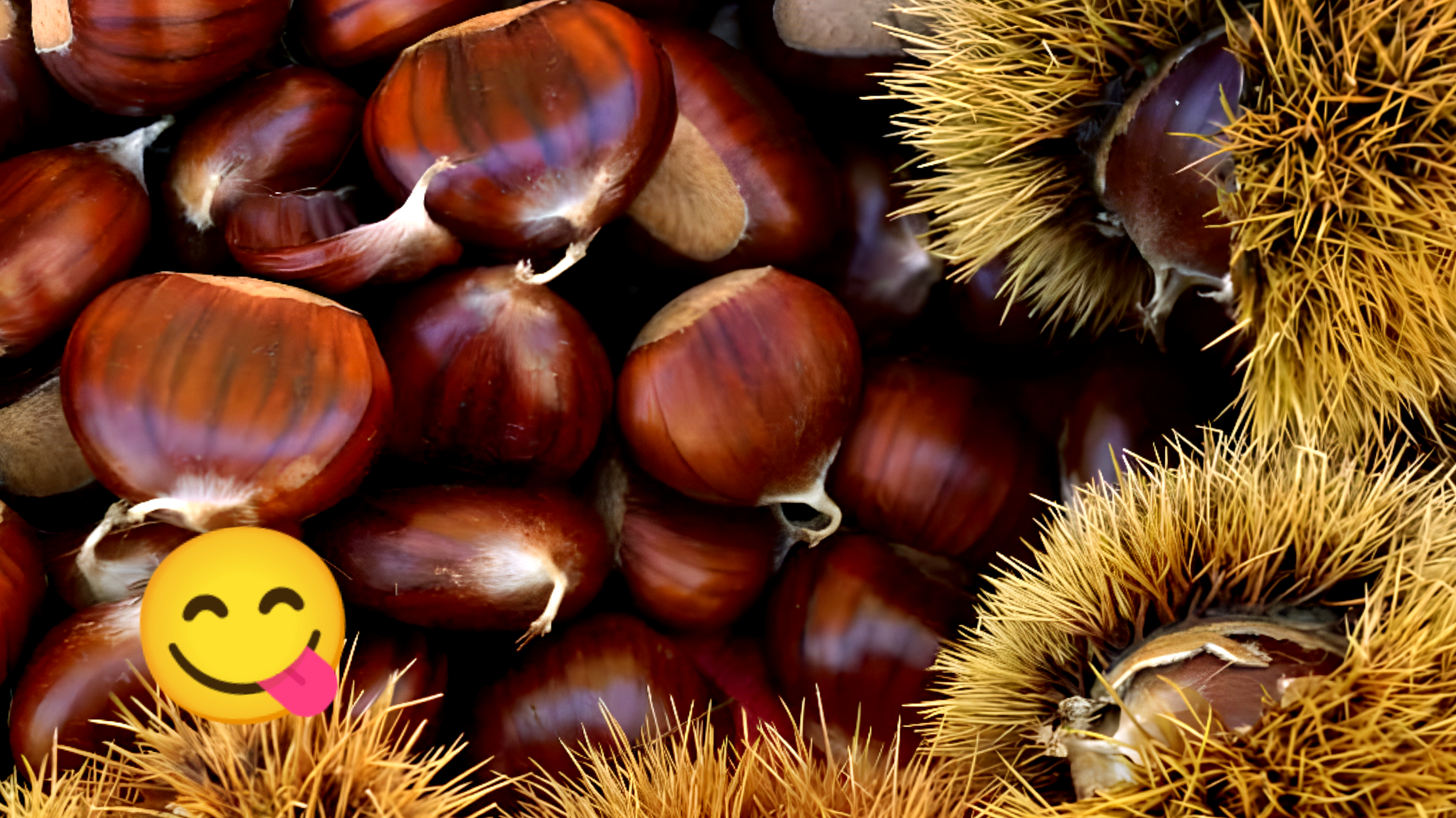 Conservare le Castagne: i Segreti migliori"